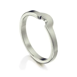 Arch Wedding Band In Platinum (R0181)
